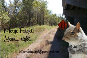 MergeRightYeahRight22Aug2015