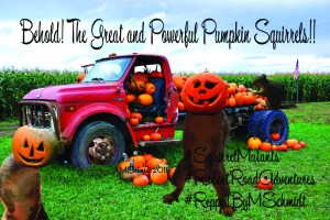 PowerfulPumpkinSquirrelsJuly2015