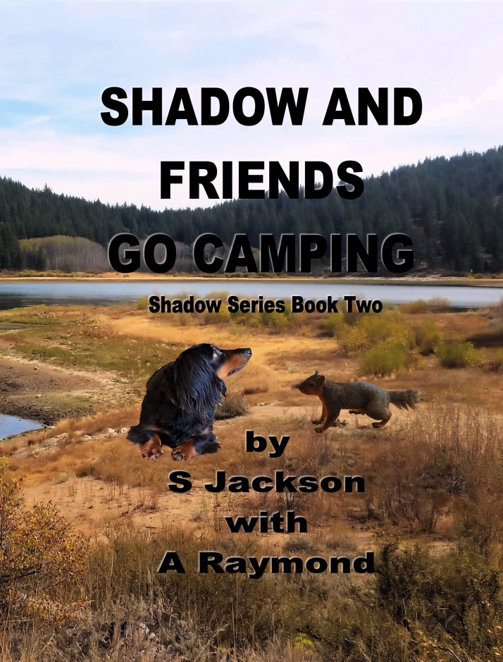 TEASER.Cover.ShadowAndFriendsGoCamping01Feb2016