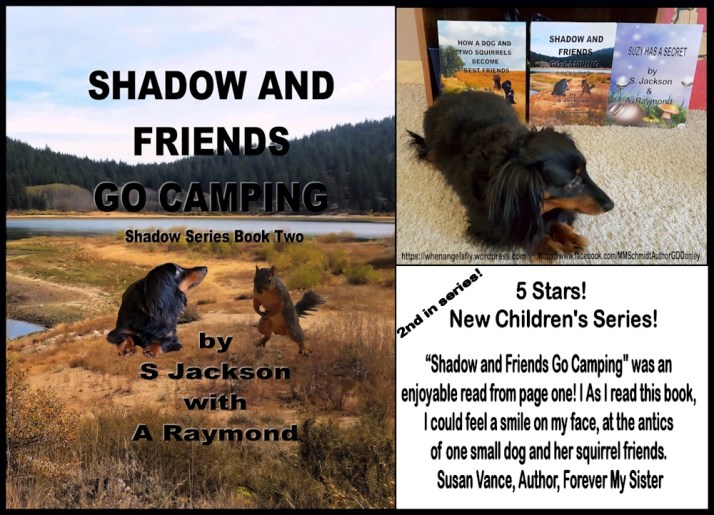 ShadowFriendsCampingPromoOne02May20106