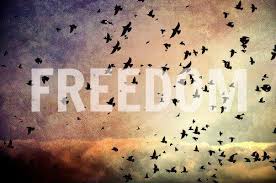 freedom