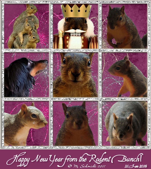 happynewyear2016-2017