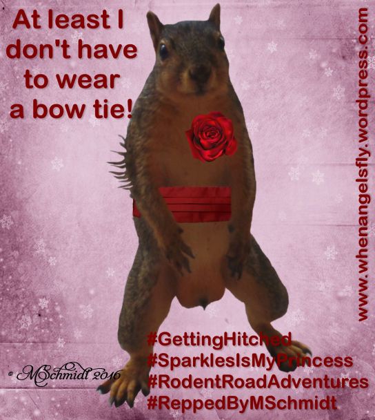 stubbyvalentine31dec2016