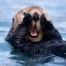 otter