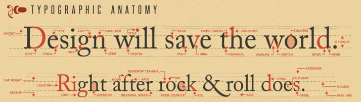 Typographic Anatomy