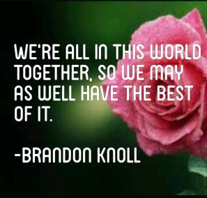 17740933_1434466486609037_183319105_n