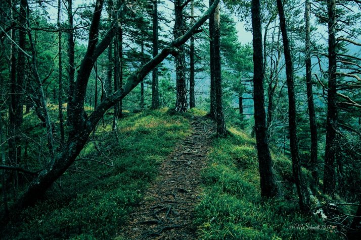 earth21july2017_2892_by_mschmidtproductions-dbhs6bj