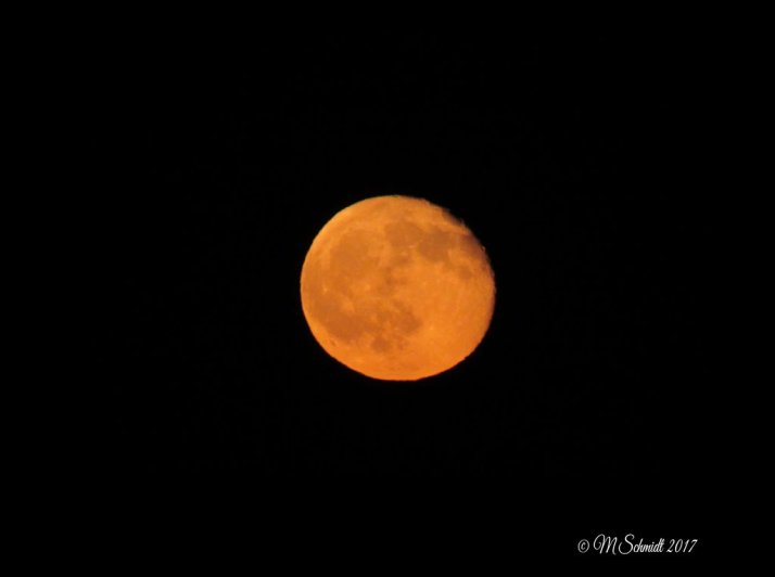 harvest_moon_2017_0595_by_mschmidtproductions-dbfz07l