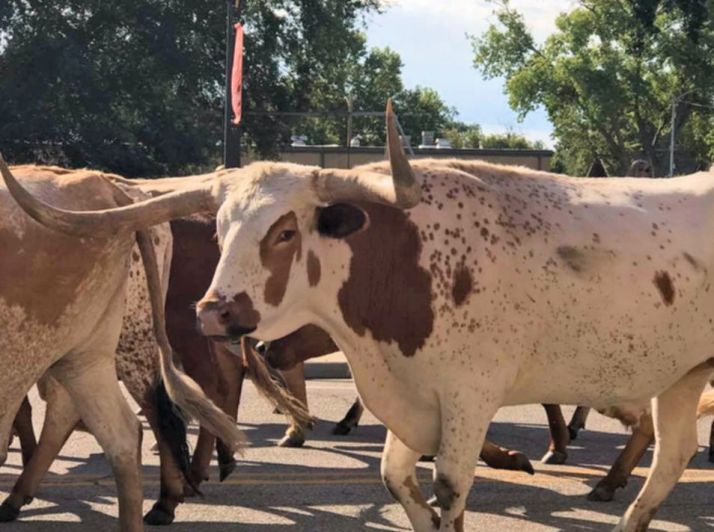 20881941_10203269086284689_954285934217591831_n