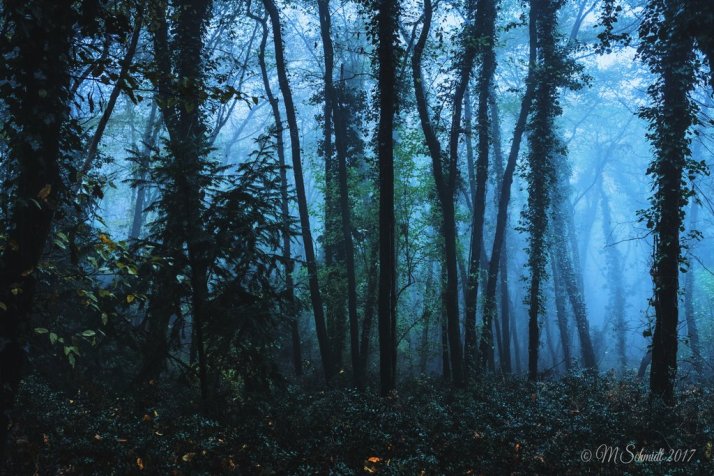 blue_al_21aug2017_by_mschmidtproductions-dbkyk8q