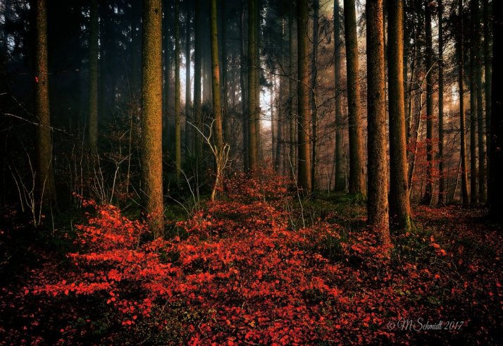 forbidden_rga_02aug2017_by_mschmidtproductions-dbimtln