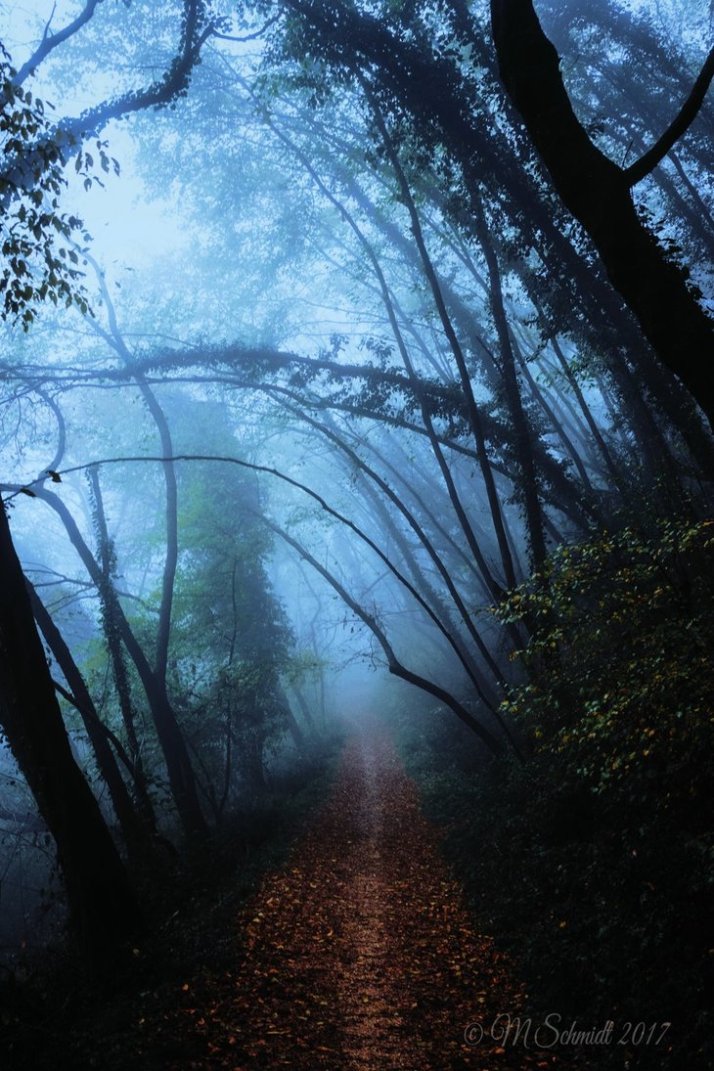 longtrekhome_al_21aug2017_by_mschmidtproductions-dbkyklm