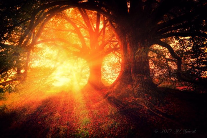 tunneloflight2017jp_33_by_mschmidtproductions-dbs3p2r