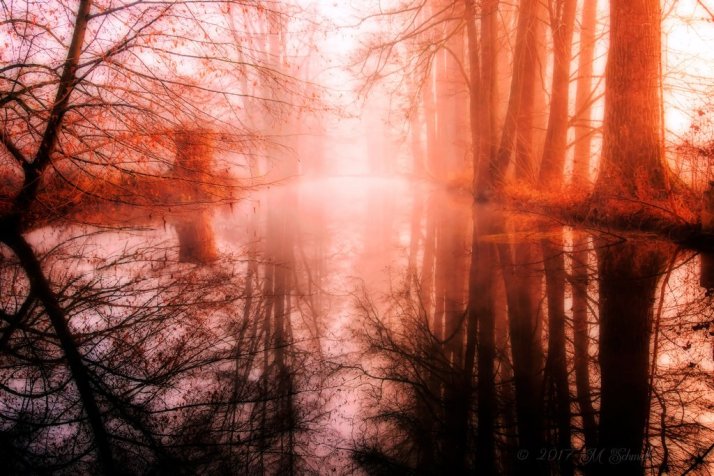 planetearth2017_jp_39_by_mschmidtproductions-dbt5npt