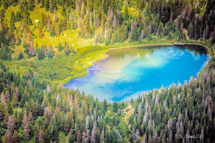 AlpineFadingAutumn-be-313243