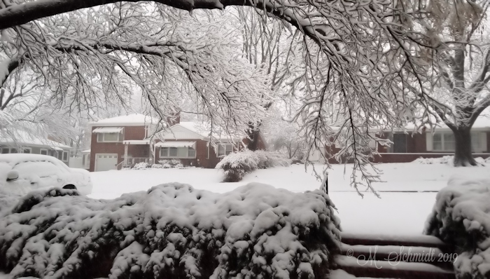 1snowjanuary12-2019-20190112_081405