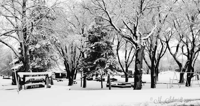 1snowjanuary12-2019-20190112_172543