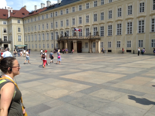 87ba8a20-ca7b-40c9-9461-fa06438aa14a