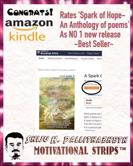 51495279_255917235302152_1888667656022654976_n