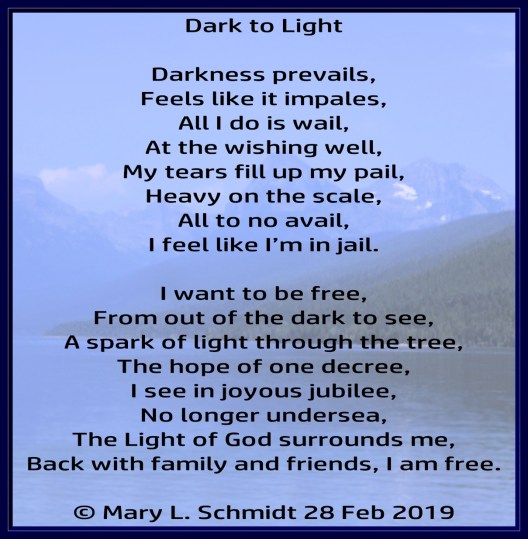 DarkToLight29Feb2019MarySchmidt